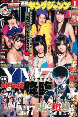 yy1029